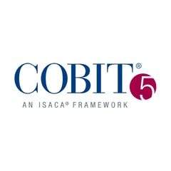 Partner_Cobit