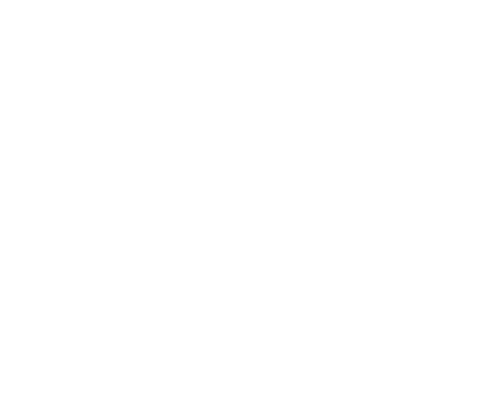 ICT_Digital ecosystem_Project Portfolio MGMNT INFO