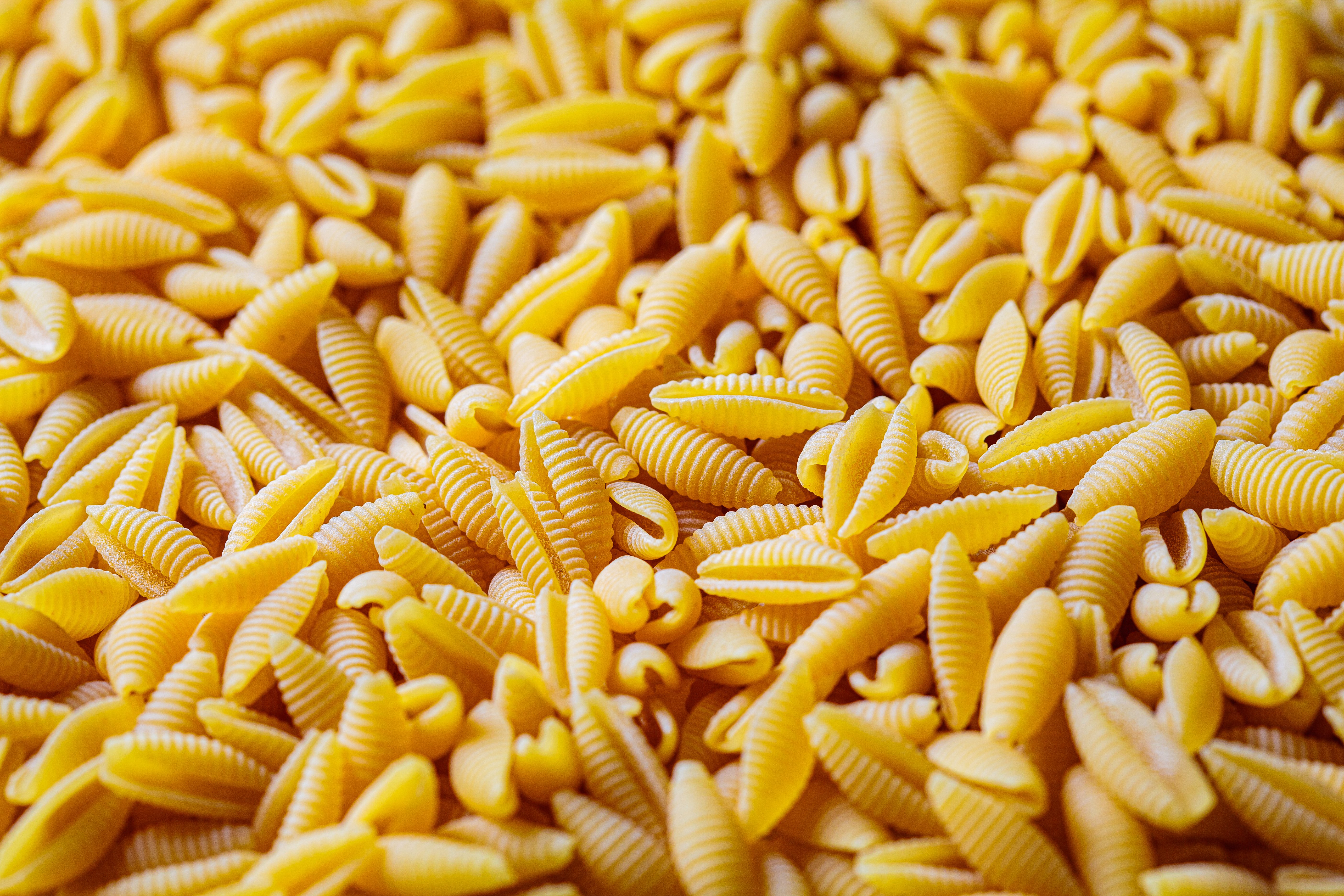 pasta molisana